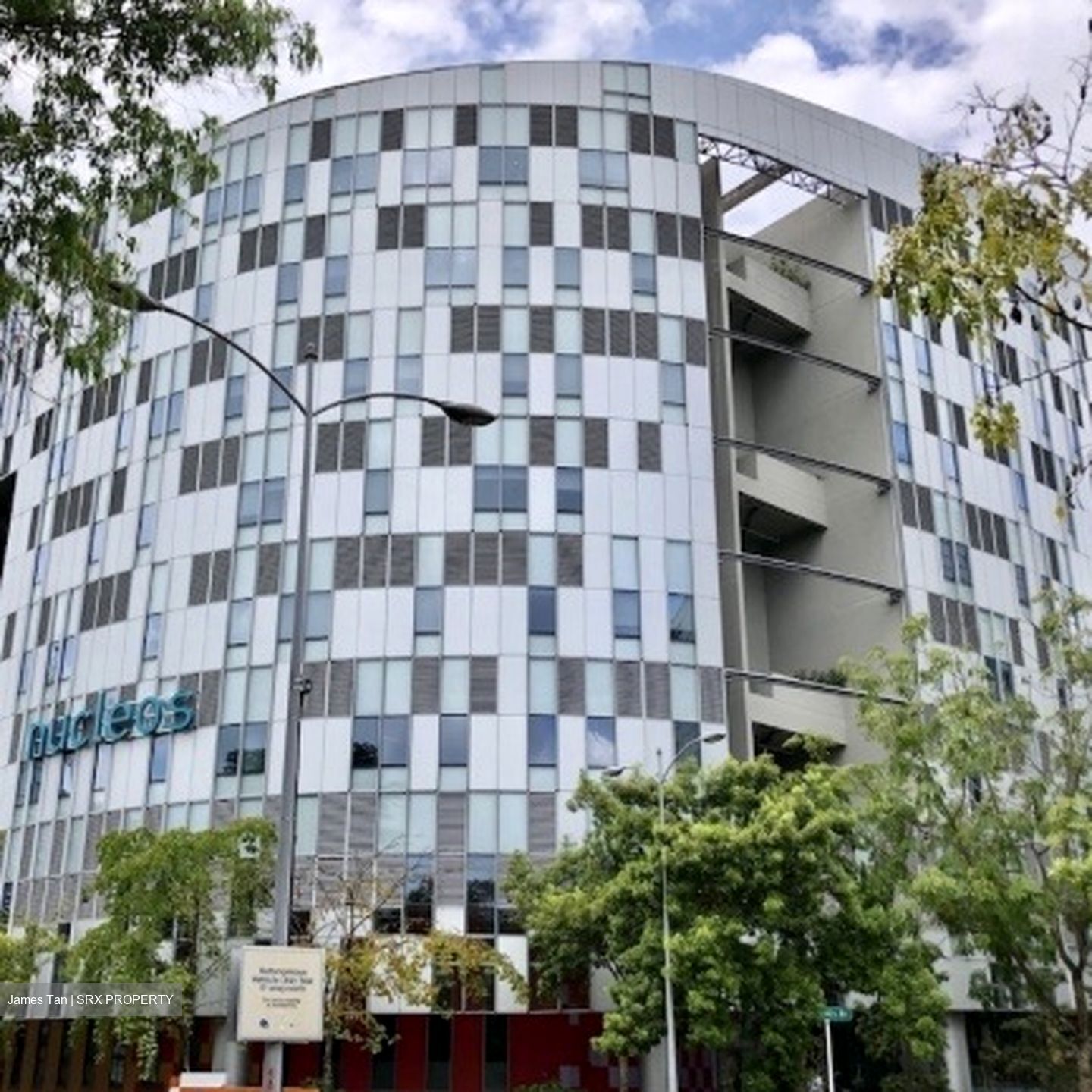 Holland Avenue (Queenstown),  #490983811